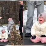 Самотній плач біля замкнених воріт: Луцьк шукає дівчинку з вірусного відео