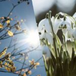Весняні обійми: прогноз синоптиків на 8 березня - коли чекати потепління