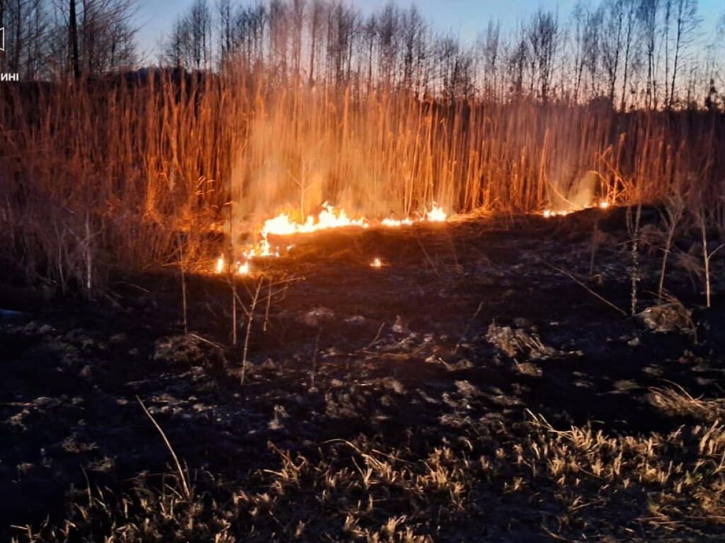 Волинь у полум'ї: сухостій запалав під спекотним сонцем (ФОТО)
