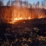 Волинь у полум'ї: сухостій запалав під спекотним сонцем (ФОТО)