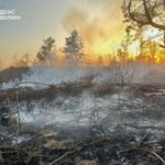 Волинь у вогні: масові підпали трави охопили регіон