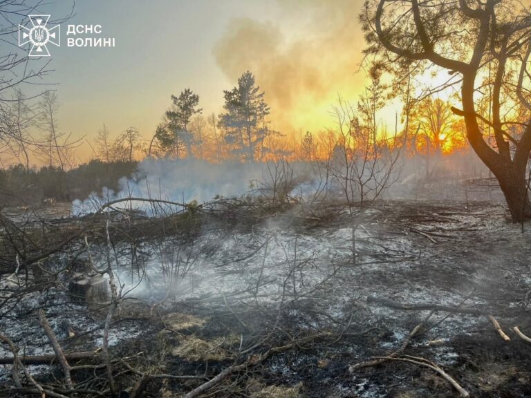 Волинь у вогні: масові підпали трави охопили регіон