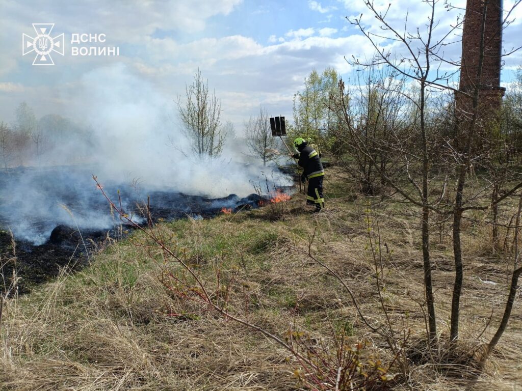 Біля селища на Волині: 2,5 га сухостою вщент згоріло. Рятувальники нагадують про штрафи.
