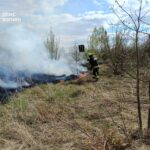 Біля селища на Волині: 2,5 га сухостою вщент згоріло. Рятувальники нагадують про штрафи.