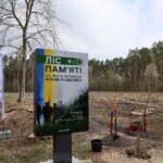 "Ліс Пам'яті" Ковельщини: Міжнародний висаджене дерево на честь полеглих лісівників.