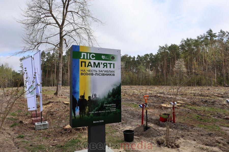 "Ліс Пам'яті" Ковельщини: Міжнародний висаджене дерево на честь полеглих лісівників.