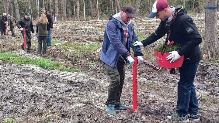 Лісовий меморіал Богдана Костючика: гектар волинського лісу на вічну пам'ять воїна-лісівника.