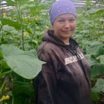 Огіркова династія: 20 років соковитих хрускотів з волинського села.