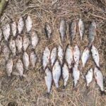 У громаді на Волині: Нелегальний вилов риби під час нересту зупинено (ФОТО)