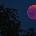 Знаки Зодіаку, що схоплять удачу за хвіст: кому "Рожевий місяць" принесе щастя