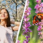 18 травня: два свята в Україні, міцний шлюб – чим цікаво та що робити.