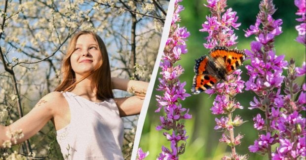 18 травня: два свята в Україні, міцний шлюб – чим цікаво та що робити.