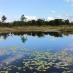 34 життя змило водою: смертельна статистика водойм України з початку травня