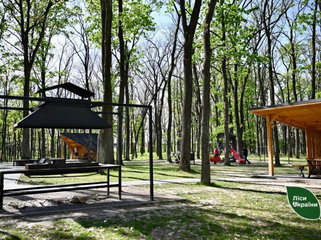 Неподалік Луцька: лісовий оазис відпочинку вже чекає на гостей (ФОТО)