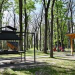 Неподалік Луцька: лісовий оазис відпочинку вже чекає на гостей (ФОТО)