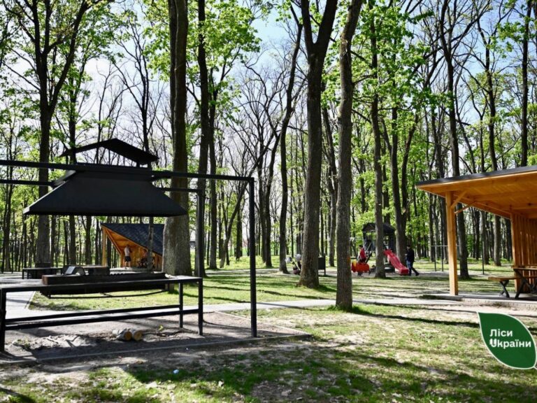 Неподалік Луцька: лісовий оазис відпочинку вже чекає на гостей (ФОТО)
