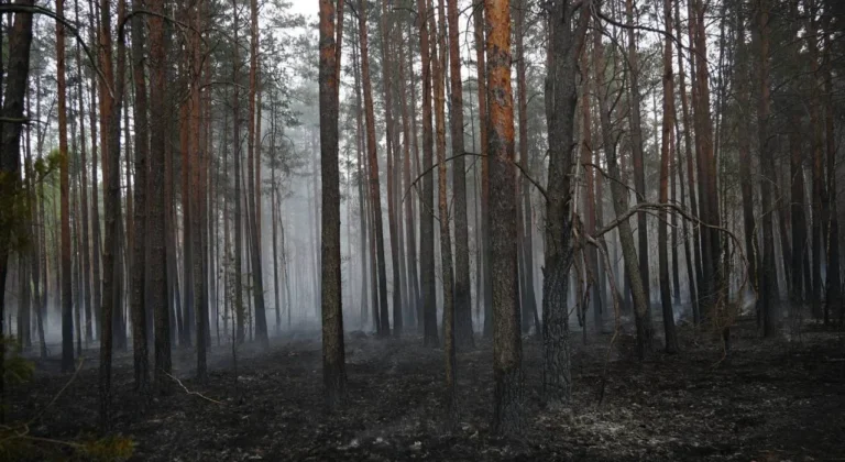 Полісся в диму: 500 га палають, ДСНС бореться з вогнем.