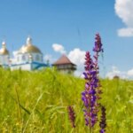 8 червня: Петрове Різдво, початок посту. Свята, традиції, що робити сьогодні.