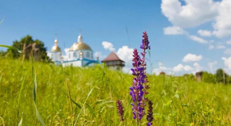 8 червня: Петрове Різдво, початок посту. Свята, традиції, що робити сьогодні.