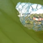 Ось варіант:
"Прапор України на вікні: Реліквія, що врятувала квартиру від вибуху у Сумах"
