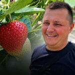 Полуничний бум у Хорохорині: як волинський ягідний бізнес долає виклики | БУГ