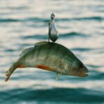 Риболовля в червні 2026: вдалі дні для гігантського улову 🎣💥