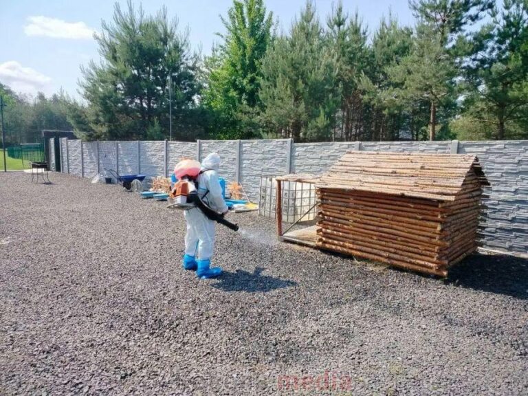 Село на Волині: карантин через сказ у лисиці