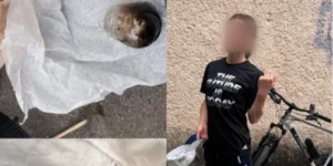 Жінка втікала від патрульних у Луцьку: виявили потенційно наркотичну речовину