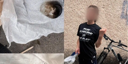 Жінка втікала від патрульних у Луцьку: виявили потенційно наркотичну речовину