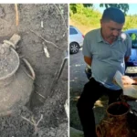 Прикарпатський ліс подарував знахідку: бідон з таємним архівом ОУН натрапив українець