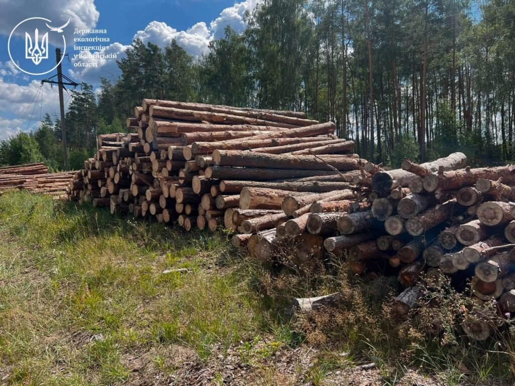Волинь: Біля села знайшли зрізаний ліс. Деталі (ФОТО)
