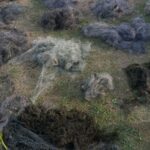На Волині біля озера знайшли заборонені знаряддя лову риби