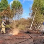 Волинь палає: рятувальники другу добу борють стихію на торфовищах