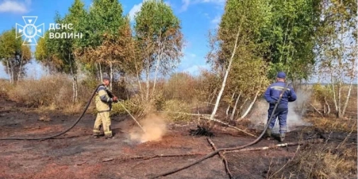 Волинь палає: рятувальники другу добу борють стихію на торфовищах