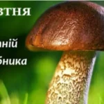 День грибника 3 жовтня: вітаємо душевно та надсилаємо листівки