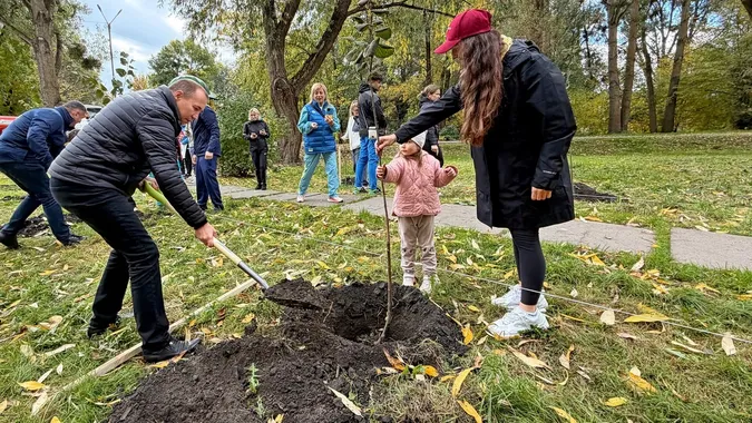 Фото алеї пам'яті