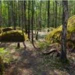 Камінне село: містичний український Стоунхендж, де люди стали валунами, а Бог залишив слід стопи